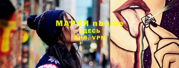 сатива Алзамай