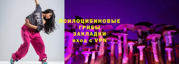 дмт Алексин