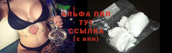 дмт Алексин