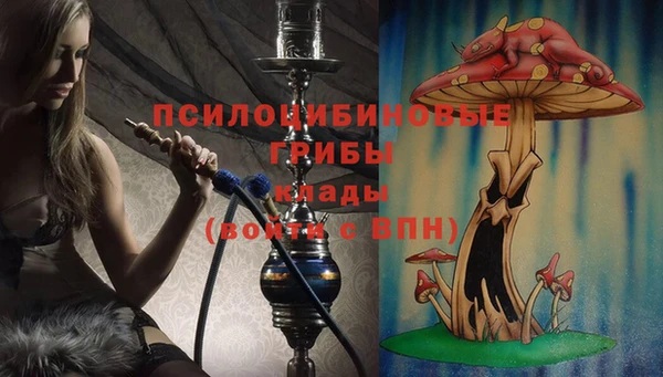 дмт Алексин