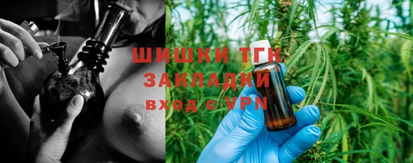 дмт Алексин